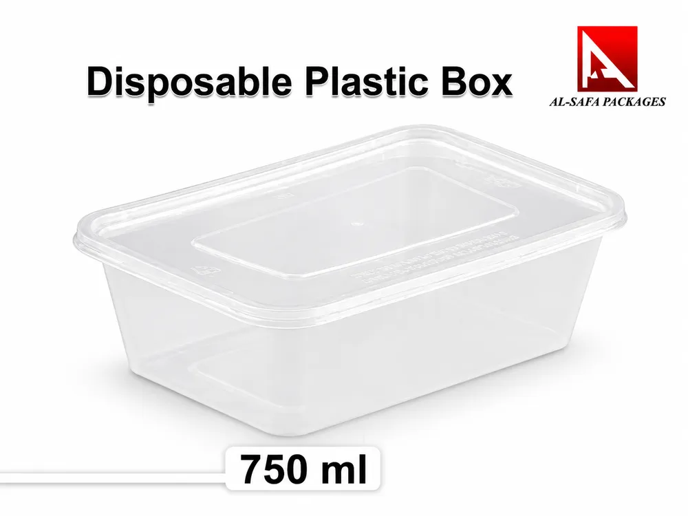 Disposable Plastic Box 750 ml